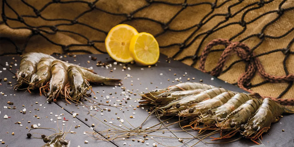 Photo: Rari Food International