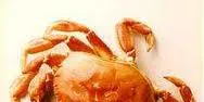Lawmakers push bill to renew Dungeness crab tri-state agreement