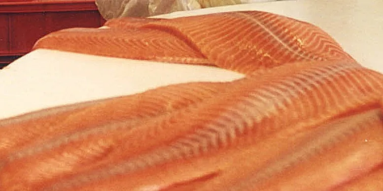 Norsk Sjomat reports solid earnings