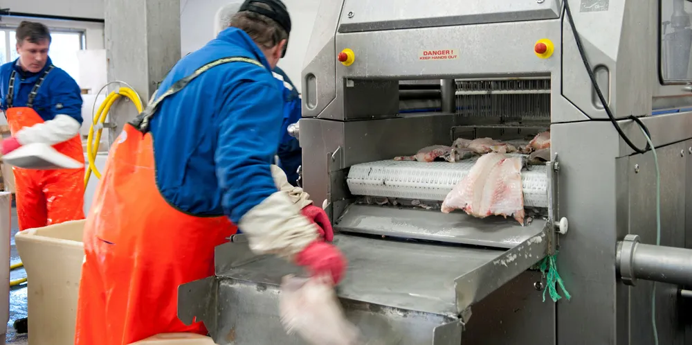 Rødt vil at fiskeren skal straffes for det kunden hans gjør med fisken.