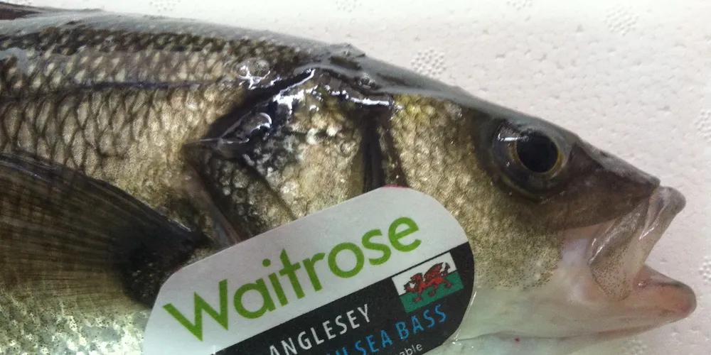 Waitrose seafood buyer: Sales being driven by value-added products