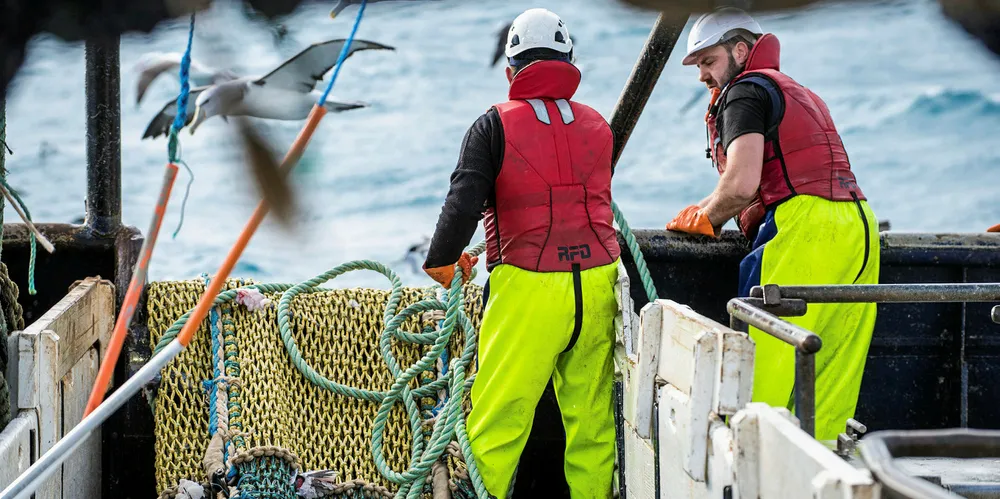 Sanford is the largest seafood company in New Zealand.