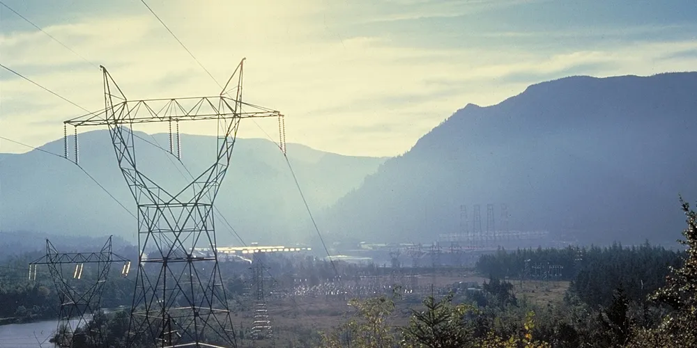 BPA proposes compensation for curtailed wind farms