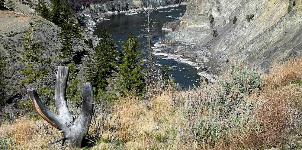 Fraser River.