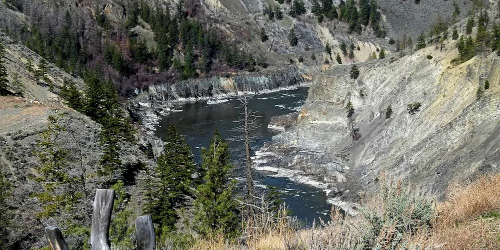 Usually the Fraser River flows free, but a rockslide has choked off a key portion of the river, preventing one of the world's largest salmon runs from migrating upriver to spawning grounds.