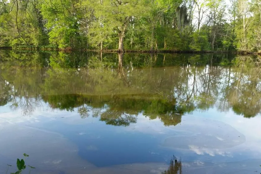 Oil spill in Louisiana bayou