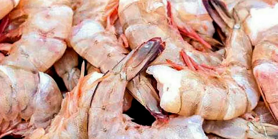 Peruvian farmed shrimp.