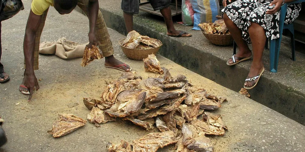 NIGERIA: Tørrfiskhoder er en viktig råvare i nigeriansk matkultur. Nå senker myndighetene i landet importavgiften på denne varen.