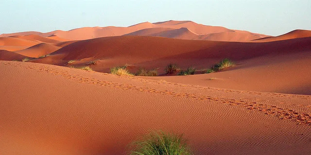 The wind farm will be sited in the southern Moroccan desert