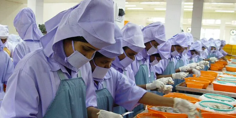 Strong dollar weighs on Bangladesh frozen black tiger exports