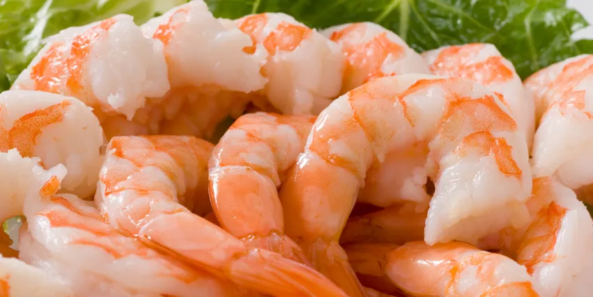 Peruvian farmed shrimp supplier sets lofty expansion goals