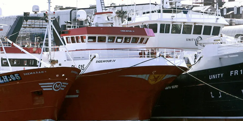 UTKAST: EU-flåten overholder ikke sitt krav om landingsplikt av fisk de fanger, mener EUs kontrollorgan for fiskeriene, EFCA.