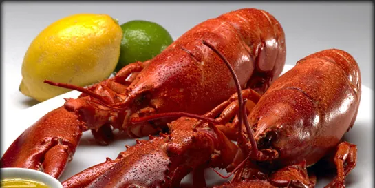 Lobster prices recovering in struggling industry