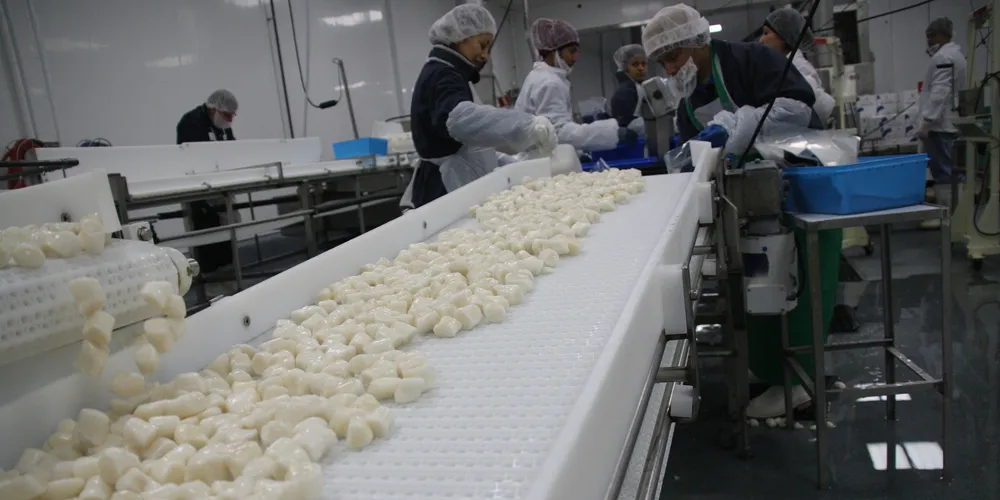 VIDEO: Exec reflects on new European scallop facility
