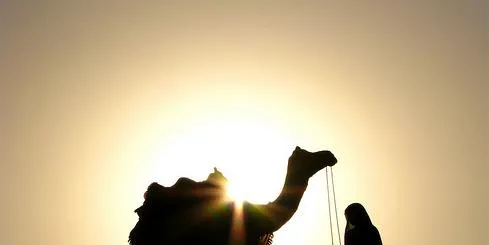 India shortlists solar-thermal developers to build 500MW