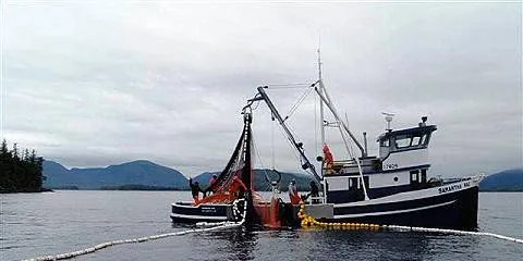 Alaska gov’t: We have ‘long-term concerns’ with MSC salmon recertification
