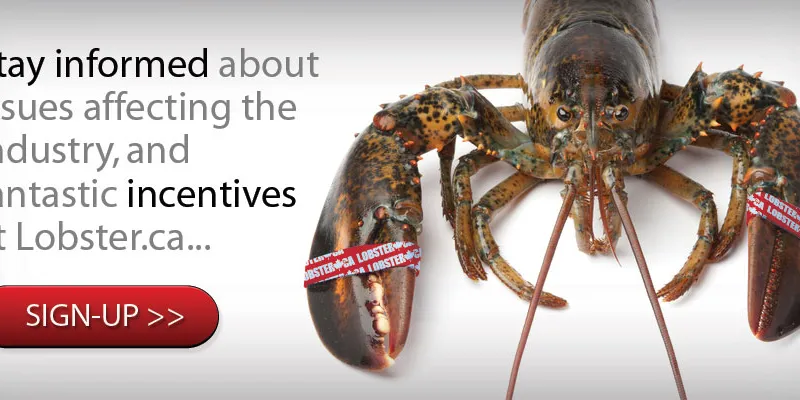 Canada looks to country-of-origin branding to distinguish its lobster