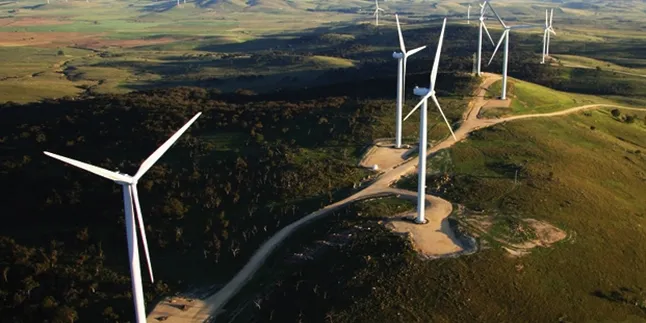 An Infigen Energy wind farm