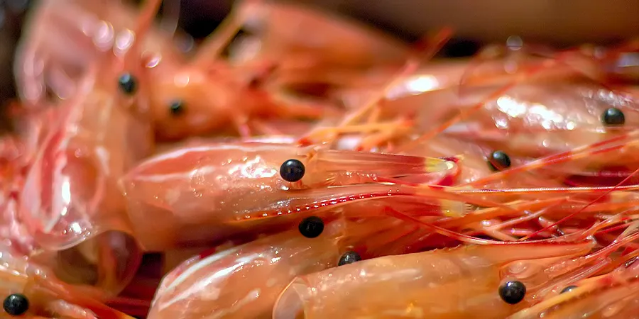 UK seafood supplier grows profit on product, market diversification