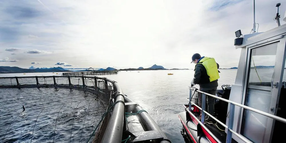LAKSESKATT: – Risikoen er stor for at vi går glipp av lønnsomme investeringer for kysten med den foreslåtte særskatten.Illustrasjonsfoto: Selsøyvik Havbruk