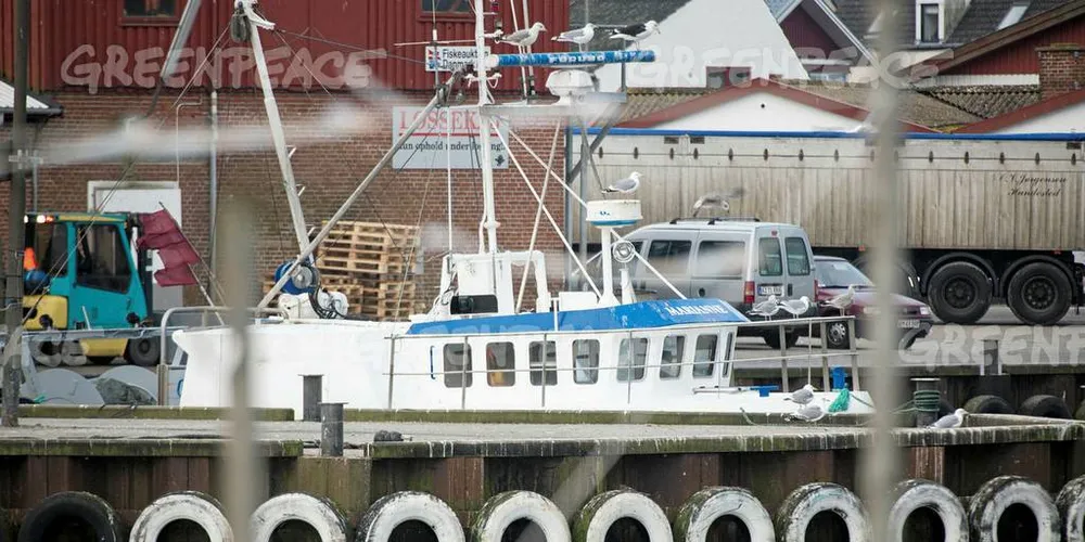 En av de danske trålerne i Gillelejes havn.Foto: Greenpeace
