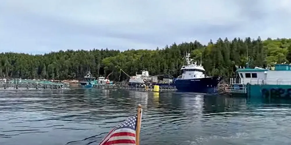 Cooke's salmon farm at Black Island in Maine.