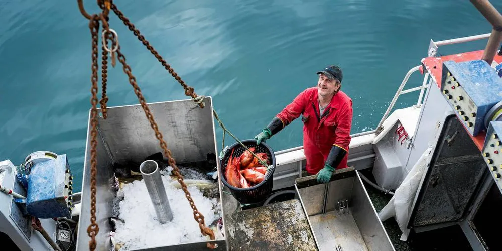 BEKYMRET: Fisker og leder i Andøy Fiskarlag, Yngve Larsen, er bekymret for at turistfiske tar for store fangster. Her legger han til kai med fiskebåten «Sigurd».Foto: Skjalg Bøhmer Vold