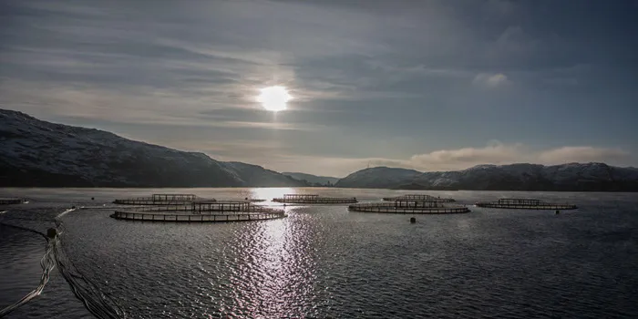 Russian Sea banks on Norwegian cooperation, not acquisitions