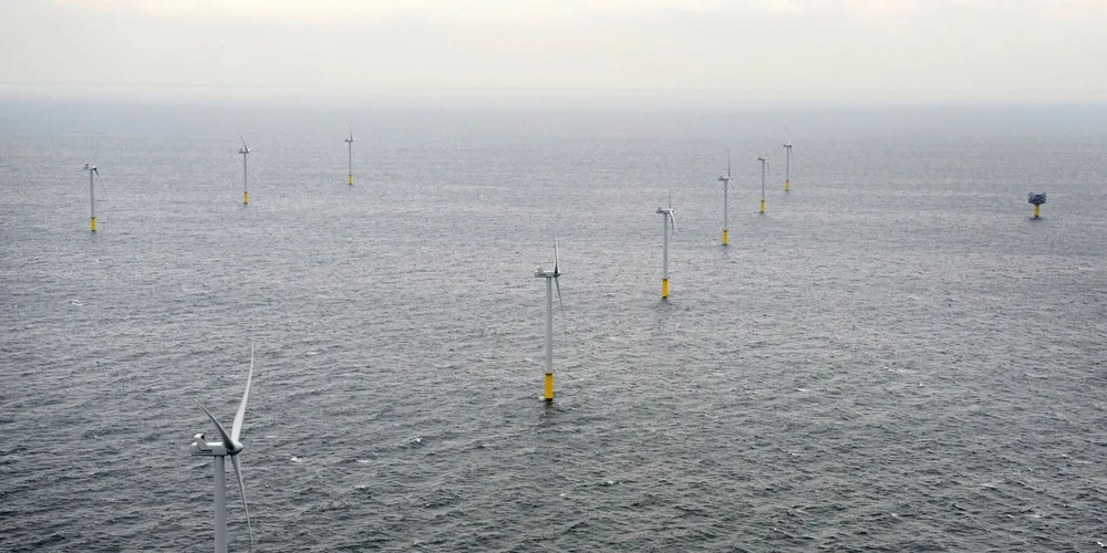 Eneco's Luchterduinen array off the Netherlands. Oceans of Energy wants to deploy solar panels between the turbines of offshore wind farms.