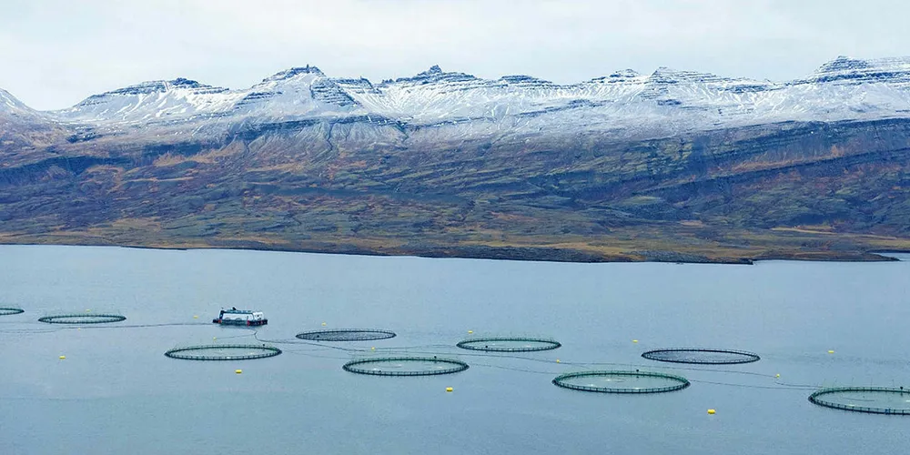 Ice Fish Farm. Island.