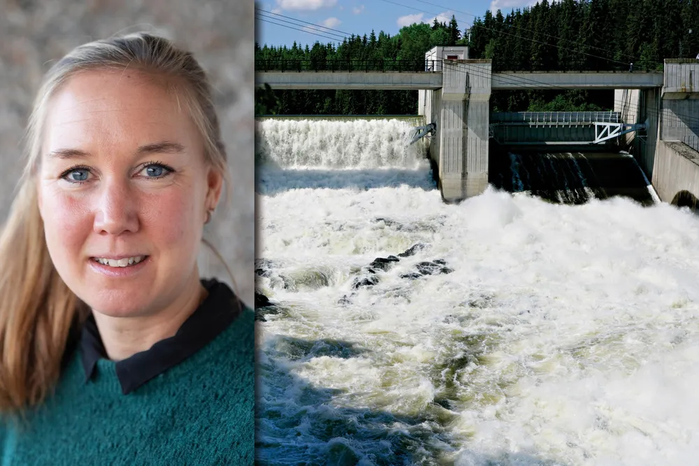 Anette Ødegård er ny seksjonssjef for energikonsesjoner i NVE.