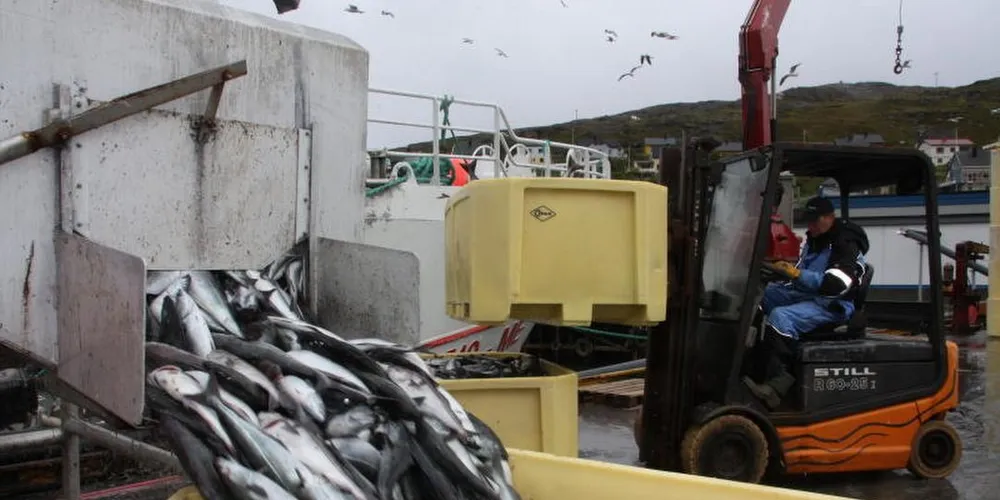 Seinot-kvoten minker raskt. Per uke 22 stod det igjen 6672 tonn. Ill.foto: Terje Jensen