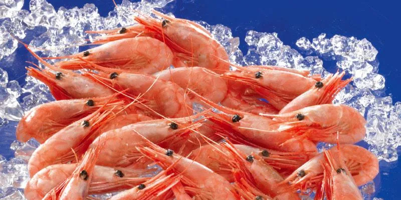 Retailers not budging on higher coldwater shrimp prices