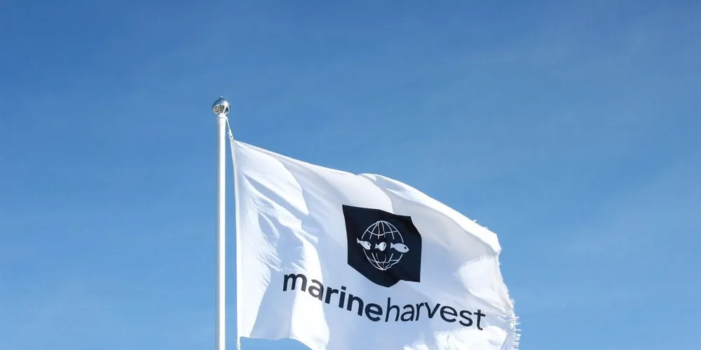 Marine Harvest godtar at de må redusere biomassen på anlegget i Sørfold. Arkivfoto: Anders Furuset