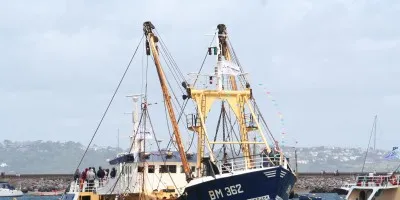 Scallops – Sustainable and Profitable