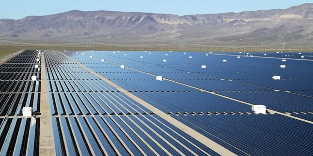 A Trina Solar array