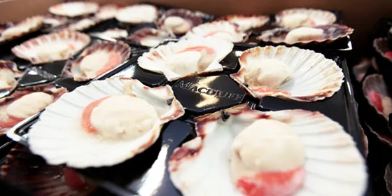 Photo: Macduff Shellfish