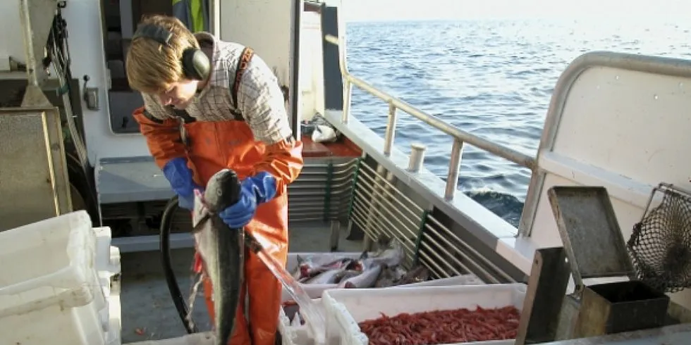 Avtalen om fiske i Skagerrak må utsettes, mener Fiskerlaget Sør. Arkivfoto