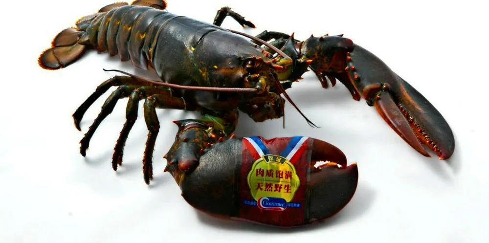 Clearwater lobster with claw bands, part of the company's new image for the Chinese market.