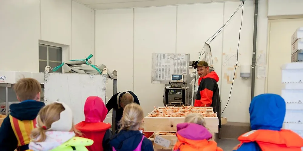 Fiskebutikken er heldig som får all denne herligheten, mener barneskoleelevene på Hvaler. Alle foto: Kjersti Kvile