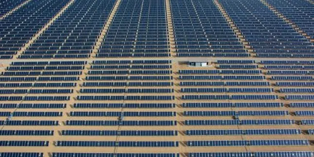 SunEdison replaces head of TerraForm yieldcos amid shake-up
