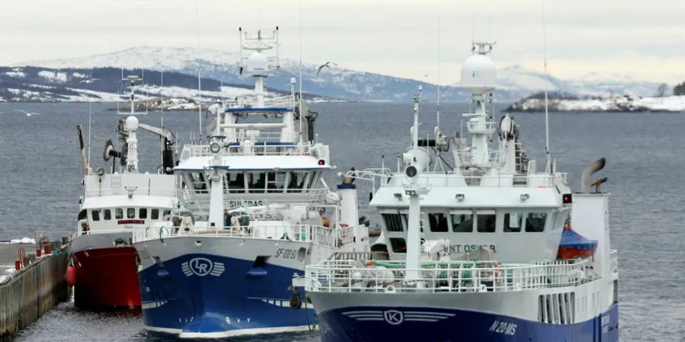 Store kystbåter får forrang fremfor mindre, mener rederen på «Sulebas» (i midten), her sammen med «Osvaldson», og «Bernt Oskar».Foto: Jon Eirik Olsen