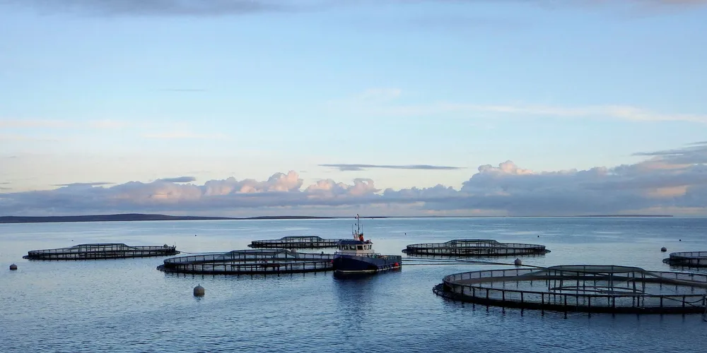 A Scottish Salmon farm in Wyre, Orkney. The combined expertise, experience and product range will help both Fusion and Gael Force drive growth both in the Scottish market and in target export markets too.