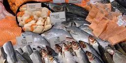 Young's launching sustainable cod fish fingers