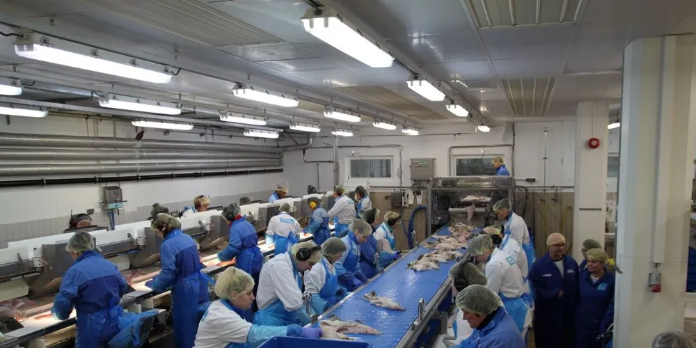 Linje på Melbu. Foto: NNN