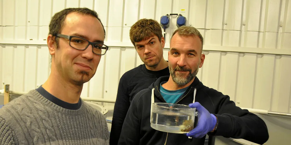 Tre karer ved og med kar: Forskerne José Beirão (t.v.), Ørjan Hagen (bak) og stasjonsleder Øivind Torslett ved Mørkvedbukta forskningsstasjon.