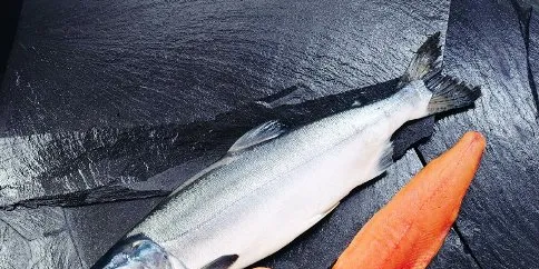Trader: 'Grim' outlook for Chinese pink salmon processors