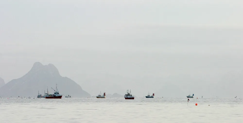 Skreifiske i Lofoten.