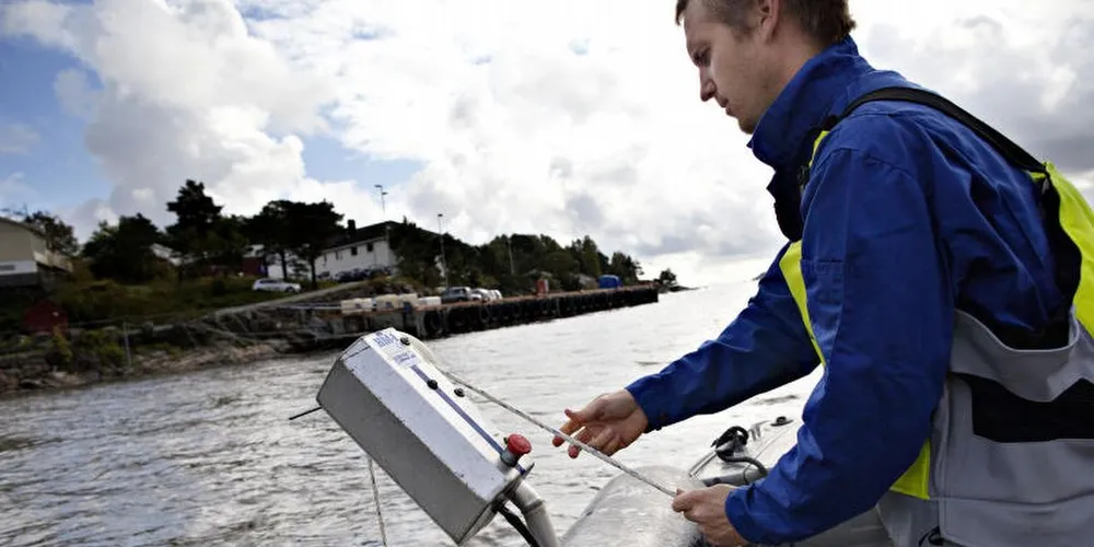Forsker Alf Ring Kleiven ved Havforskningsinstituttets stasjon i Flødevigen har funnet lite fjordtorsk i rekefangstene på Skagerrak. Foto: Tomm W. Christiansen