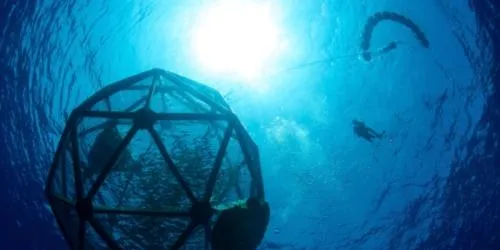 Kampachi Farms: Offshore aquaculture sector won't feel impact from Obama ruling